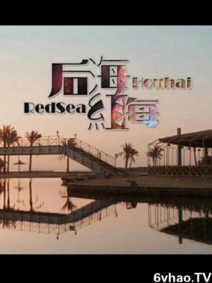 贤者之孙